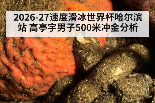 2026-27速度滑冰世界杯哈尔滨站 高亭宇男子500米冲金分析